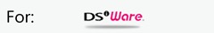 For DSiWare