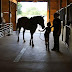 Horses Helping Kids With Disabilities