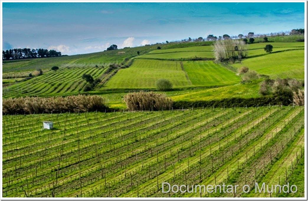 Quinta do Monte D’Oiro; Enoturismo no Oeste; Vinho regional de Lisboa