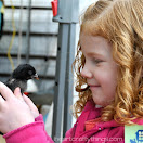 Baby Animal Days at USU Botanical Gardens (Family Pass Giveaway)