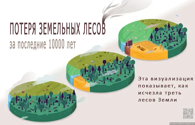 Обложка иллюстраций о потери лесов за 10000 лет