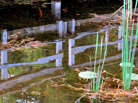 wooden railing reflected in water