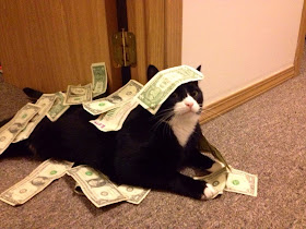 Funny cats - part 90 (40 pics + 10 gifs), rich cat showers himself with money