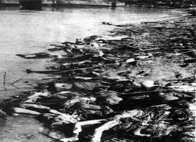 جثث آلاف القتلى الصينيين ملقاة على ضفاف نهر اليانغتسي