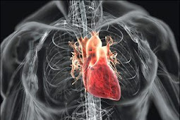 7  Gejala Penyakit Lemah Jantung