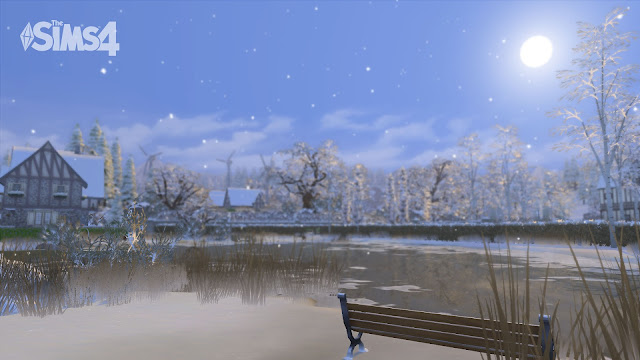 The Sims 4 Windenburg Zoom background