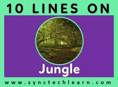 10 lines on jungle in english