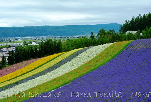 Glória Ishizaka - Farm Tomita 21