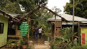 Curug Bajing, Keindahan Tersembunyi Petungkriyono Pekalongan