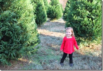 Zoey Hunting for a Tree2