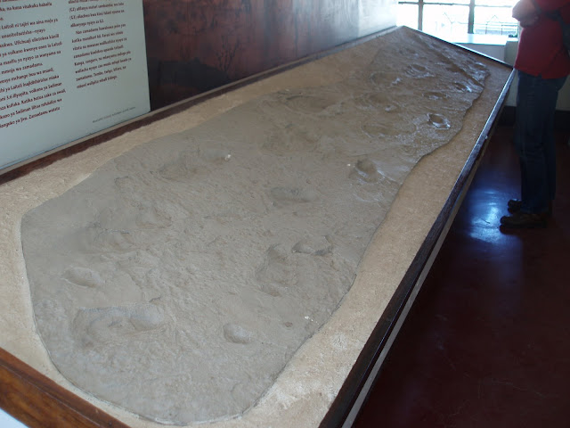 Ancient Foot prints