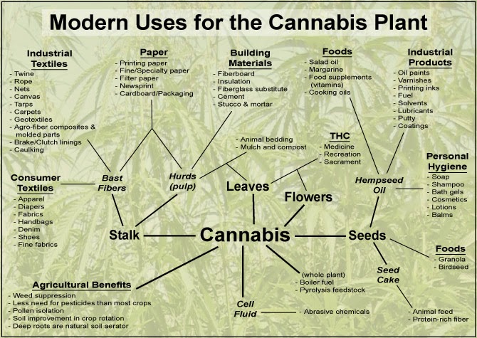 How Could 3 Suppressed Technologies Revolutionize Daily Life - Hemp Uses - Modern Uses for the Cannabis Plant