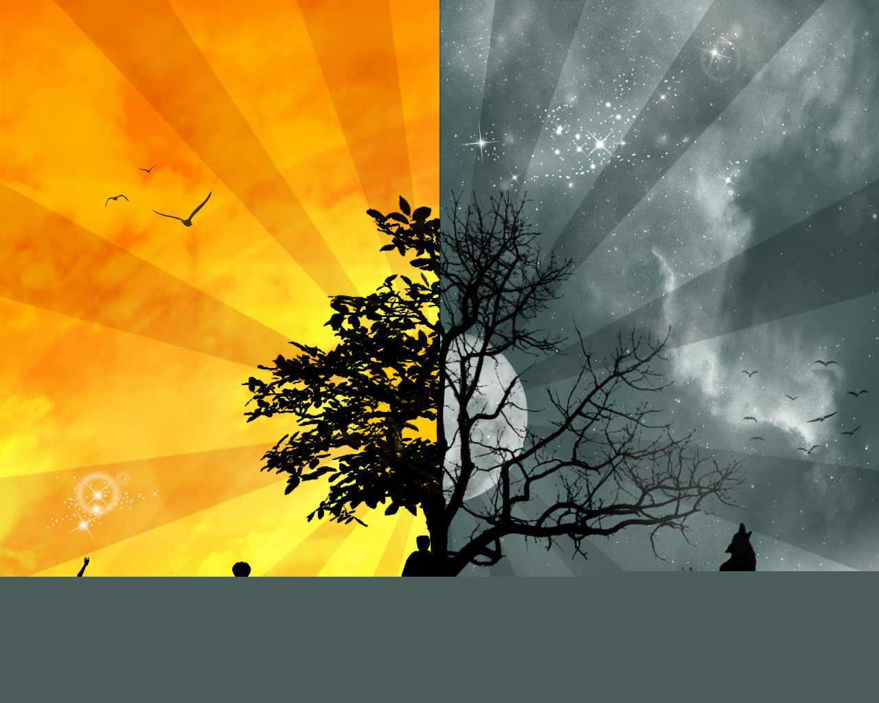 Cool wallpapers, cool wallpapers for phones, cool wallpapers for pc ...