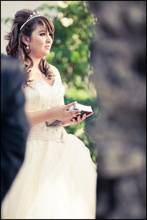 Quinceañera-color  (229)