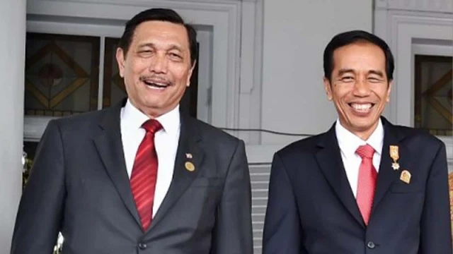 Luhut Binsar Itu Andalan Jokowi, Politisi PDIP: Sudah Seperti Perdana Menteri