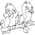  Birds Coloring Pages