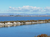 Saline di Margherita di Savoia