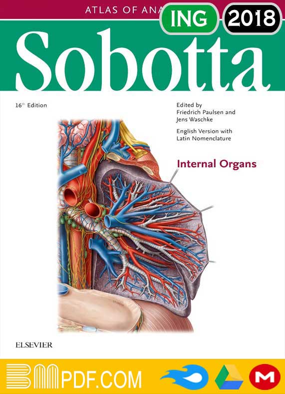 Sobotta Atlas of Anatomy volume 2 16th edition PDF, Human Anatomy