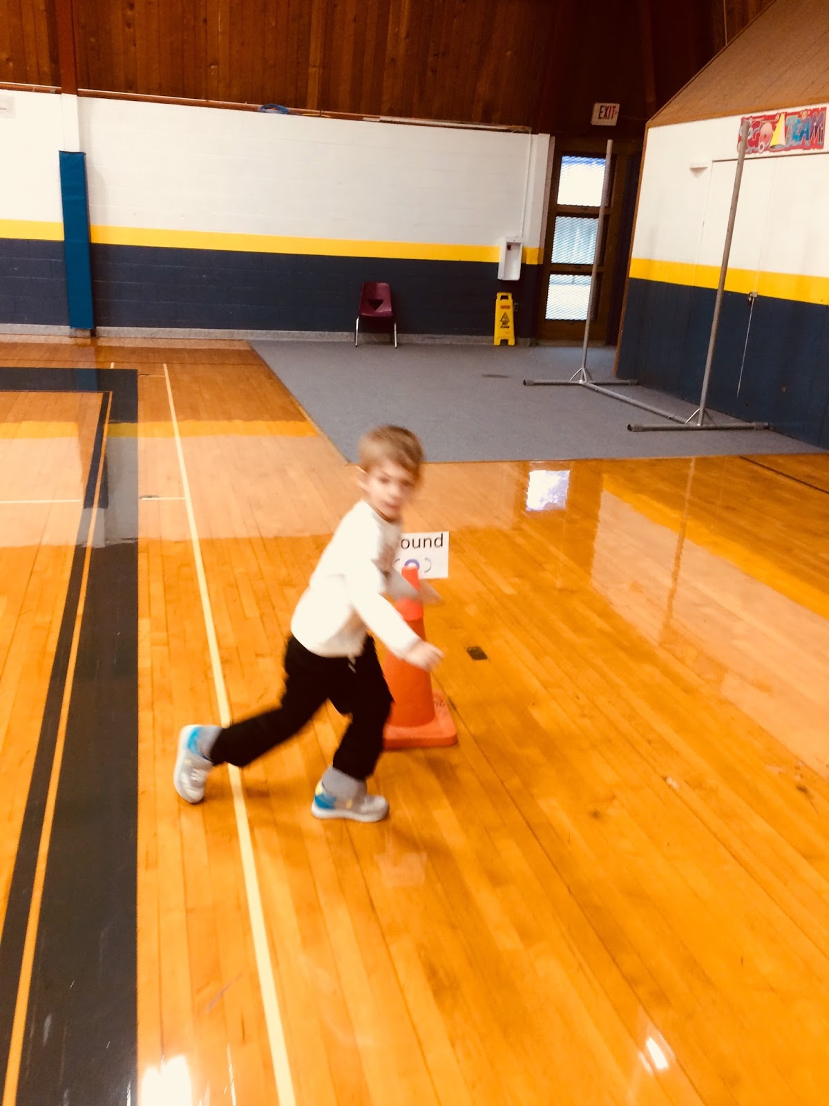 Early Childhood Physical Education