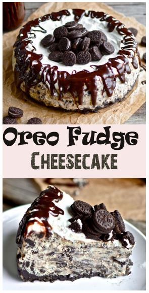 You’re probably thinking to yourself, “My goodness. What an incredibly rustic looking cheesecake that is.”Well, that’s what twenty dollars ... You’re probably thinking to yourself, “My goodness. What an incredibly rustic looking cheesecake that is.”Well, that’s what twenty dollars ...