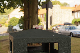 Camembert on  a bin 