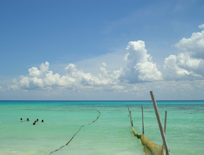 Paisaje marino