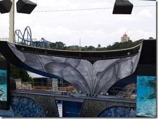 The Shamu show, this time I tried to capture better photos with the zoom lens