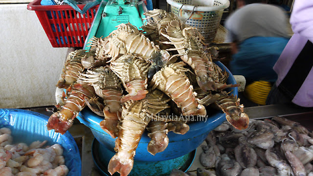 Sandakan Slipper Lobster