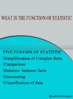 function of statistic,what i sthe fucnyion of statistic