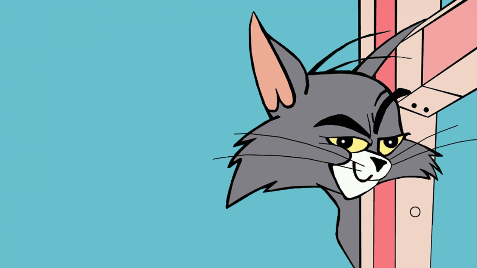 Tom And Jerry Cartoon Cats HD Wallpapers, Photo \u0026 Images  The HD Wallpapers