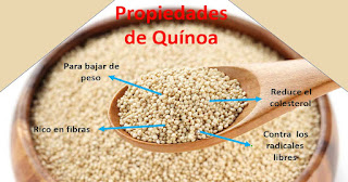 Quinoa propiedades y conatraindicaciones 