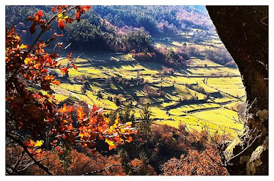 Otoño en Galicia