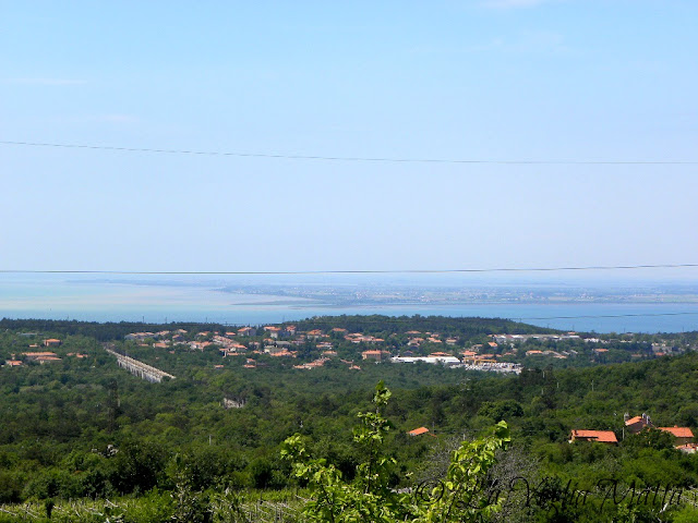 panorama dal vigneto di  Prepotto verso il mare