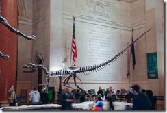 Американский музей естественной истории (American Museum of Natural History)