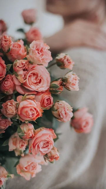 Flores, Buquê De Rosas, Cor De Rosa