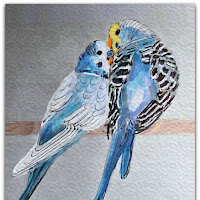 BACK TO THE BIRDS