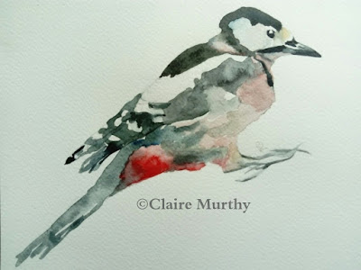 bird watercolour painting