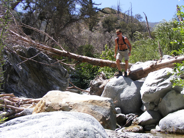 Thierry BROUWERS, San Bernardino Forest, California