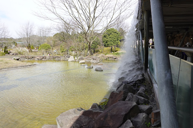 鳥取県西伯郡南部町鶴田 とっとり花回廊