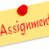 Assignment for Political Science Students