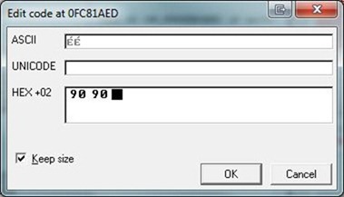 flash patch 9090