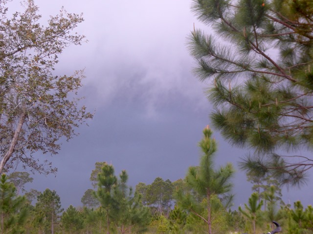 P1100351