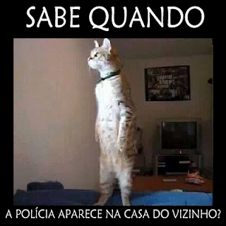 Post de humor no Blog Zoeira Discreta: Humano, me dê comida ou