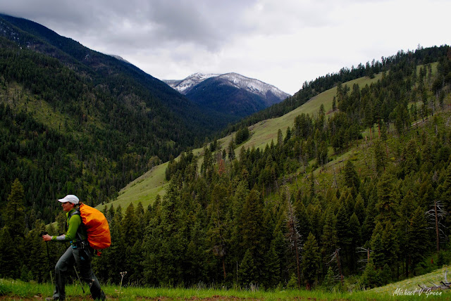 Nez Perce National Forest