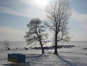 Coldest day so far -24c. 24th Jan 2010 015