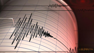 Gempa M 6,0 Guncang Jepang, Tak Ada Peringatan Tsunami