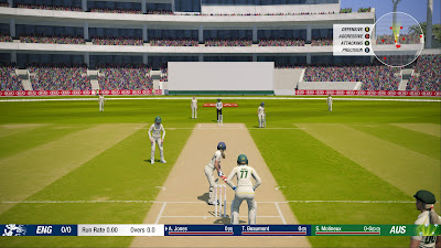 Cricket 19 PC Game Free Download Full Version