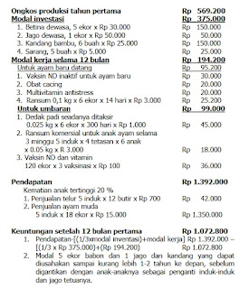 Analisis usaha finansial ayam sistim umbaran