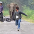 Elephent Chasing Bike Rider