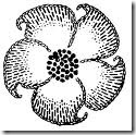flowers 4